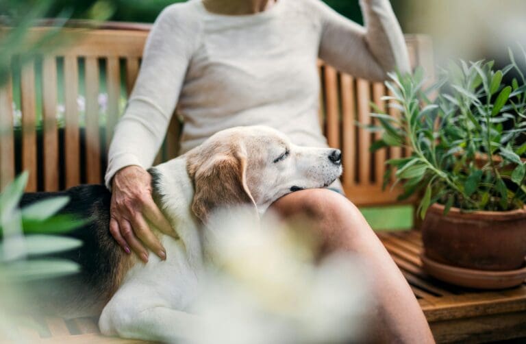 A woman sitting with her elderly dog, a moment that captures the tender process of memorializing a lifelong animal companion.