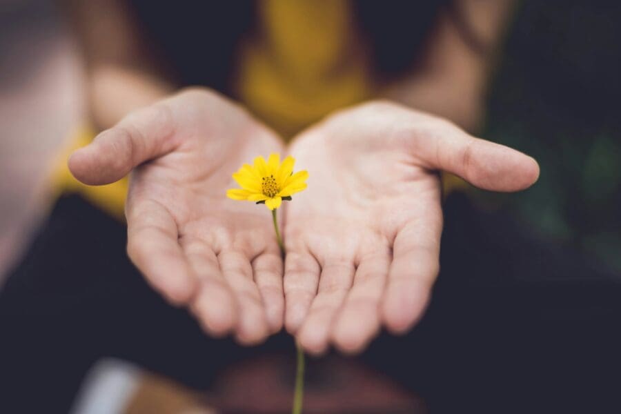 Gentle hands cradling a single yellow flower, symbolizing the delicate and careful navigation through the stages of grief.